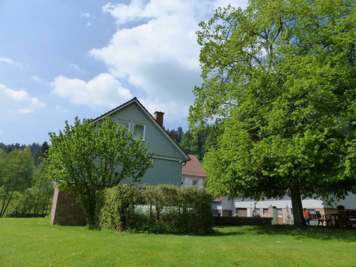Ferienhaus Zur Muehle Mossautal エクステリア 写真